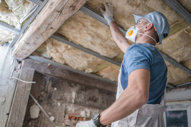 Best Specialty Insulation in Rotan, TX